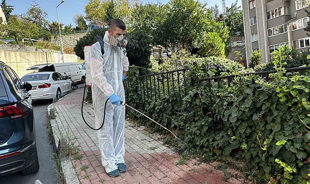 Kağıthane'de sinek ve haşerelere karşı tam zamanlı mücadele