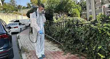 Kağıthane'de sinek ve haşerelere karşı tam zamanlı mücadele