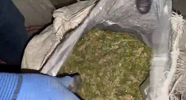 Kağızman'da esrar ve kenevir operasyonu