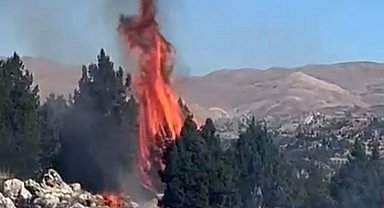 Kahramanmaraş'ta orman yangını söndürüldü