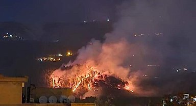 Kahramanmaraş'ta orman yangını