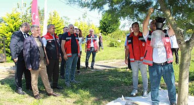 Kahverengi kokarca ile mücadele: Fındık bahçeleri kışlak öncesi ilaçlandı