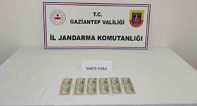 Kalpazanlık yapan şahsa jandarmadan suçüstü