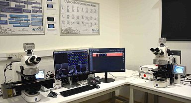 Kanser ve pek çok hastalığa MetaSystems ile yapay zeka destekli tanı imkanı