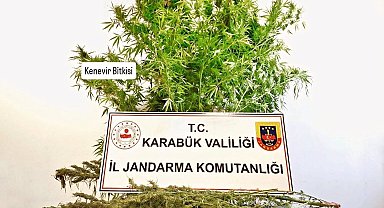 Karabük'te evde kenevir ve esrar bulundu