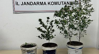 Karabük'te uyuşturucu operasyonu