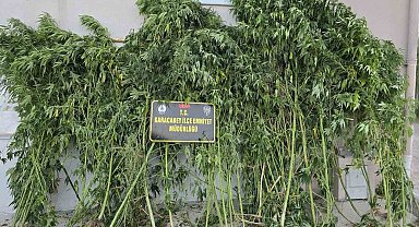 Karacabey'de uyuşturucu operasyonunda 1 tutuklama