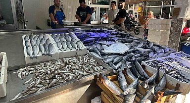 Karadeniz'de palamut bolluğu: Tanesi 80 liraya düştü