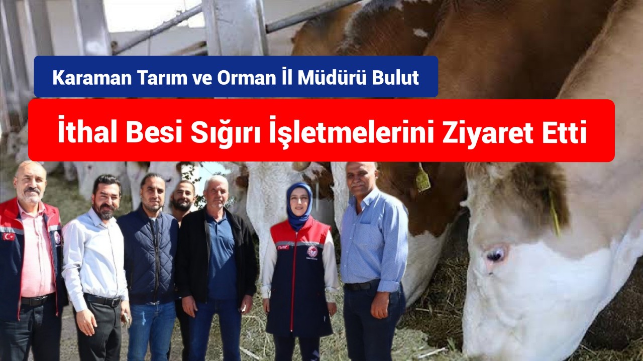 Karaman Tarım ve Orman İl Müdürü Bulut İthal Besi Sığırı İşletmelerini Ziyaret Etti