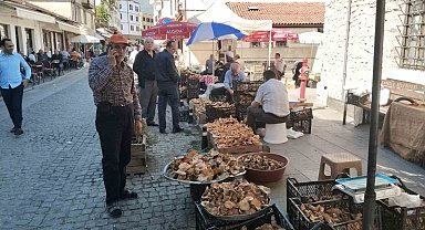 Kasa kasa kanlıca mantarında fiyatlar düştü