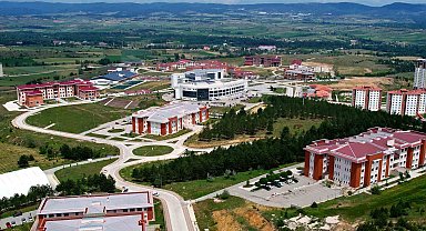 Kastamonu Üniversitesi'nin geliştirdiği antibakteriyel ahşap üretim yöntemi patent aldı