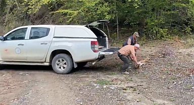 Kastamonu'da tedavisi tamamlanan karaca, doğaya salındı
