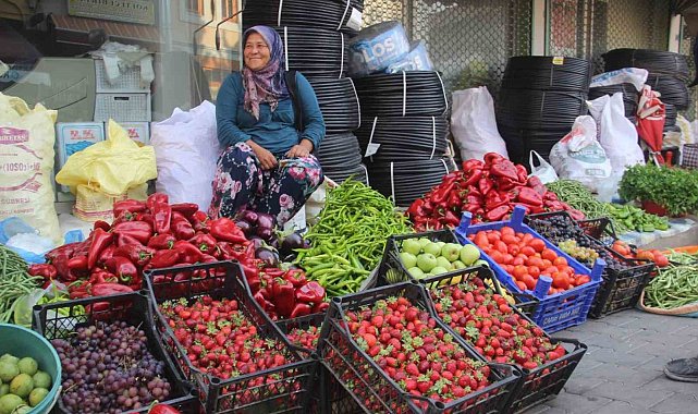 Kaz Dağları'nda yetişen organik ürünler ilçe pazarında satılıyor