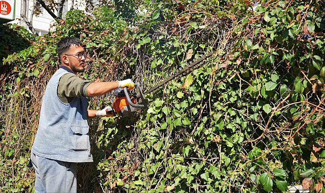 Keçiören'de mevsimlik budama çalışmaları gerçekleştiriliyor