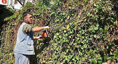 Keçiören'de mevsimlik budama çalışmaları gerçekleştiriliyor