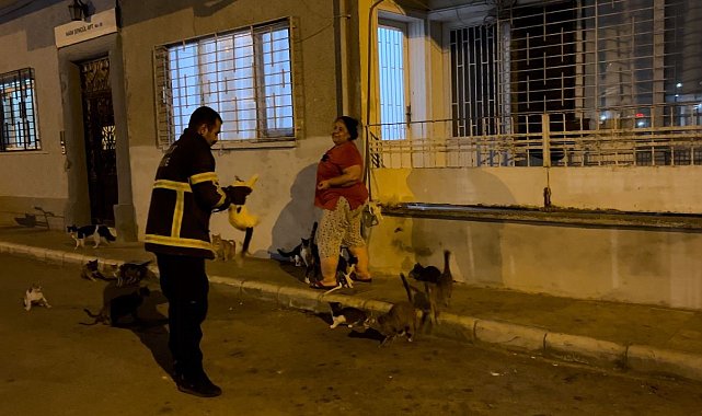 Kedi üzerinde koli bandıyla kaçtı, itfaiye yardım için kovaladı