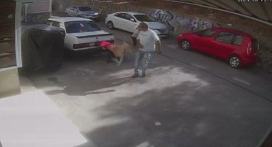 Köpeğin saldırdığı çocuğun annesinden hayvanseverlere tepki