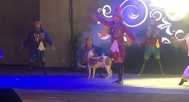 Köpek sahneye daldı, dansçılar şaşkına döndü