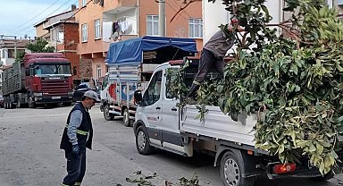 Körfez'de yeşil alanlara bakım