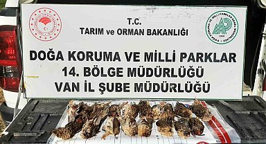 Kota aşımı yapan 3 avcıya 57 bin 373 lira cezai işlem uygulanacak