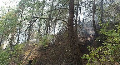 Kumluca'da orman yangını büyümeden söndürüldü