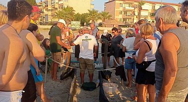 Kuşadası'nda yumurtadan çıkan son yavru caretta da özgürlüğe kulaç attı