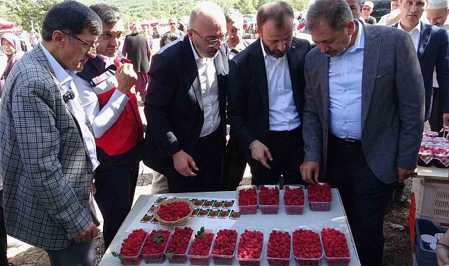Kütahya'da 'Ahududu Şenliği' renkli görüntüler oluşturdu