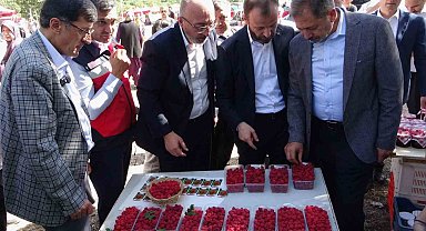 Kütahya'da 'Ahududu Şenliği' renkli görüntüler oluşturdu