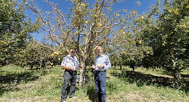 Kuyulardan tuzlu su çıkması çiftçileri tedirgin etti