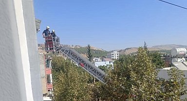 Mahsur kalan güvercin kurtarıldı