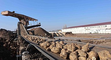 Malatya Şeker Fabrikası'nda hedef 55 bin ton şeker üretimi