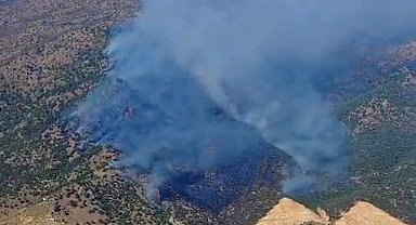 Manisa'da orman yangını