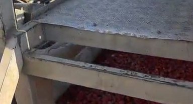 Manisa'da sağlıksız şartlarda salça üreten firmanın faaliyetleri durduruldu