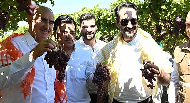 Manisa'da yaklaşık 40 bin aile geçimini bağcılıktan sağlıyor