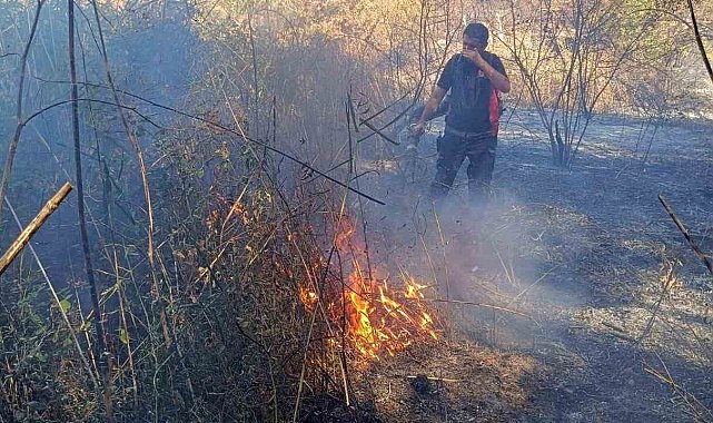 Mardin'de ormanlık alanda çıkan yangın devam ediyor