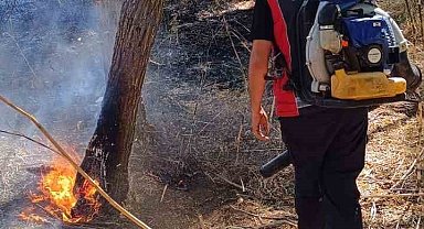 Mardin'de ormanlık alanda çıkan yangın söndürüldü