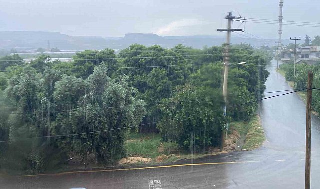 Mersin'de sağanak etkili oldu, yıldırımın isabet ettiği ağaç yandı
