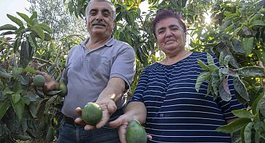 Mersin'de üretici, fide-fidan desteği ile büyüyor