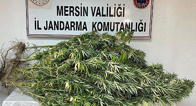 Mersin'de uyuşturucu tacirlerine operasyon: 4 gözaltı