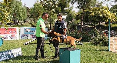 Minik öğrenciler eğitimli köpeklerin gösterisine hayran kaldı