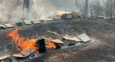 Muğla Büyükşehir'den yangından etkilenen arıcılara destek