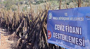 Muğla Büyükşehirden 'Her Kapıda Bir Fidan' projesi
