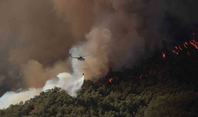Muğla'da 385 orman yangınında bin 148 hektar alan yandı