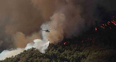 Muğla'da 385 orman yangınında bin 148 hektar alan yandı