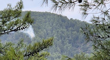 Muğla'da yıldırım kaynaklı orman yangınları meydana geldi