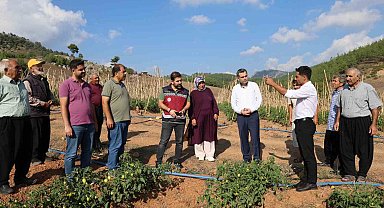 Muhtar dağlık ve susuz mahallede domates yetiştirdi