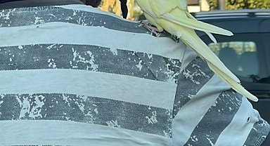 Omzunda papağanla motosikletli yolculuk