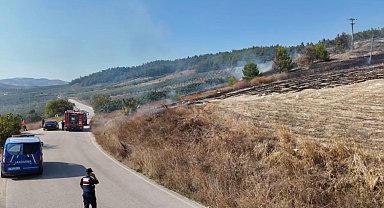 Ormanlık alanda korkutan yangın