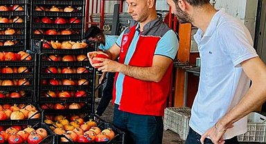 Ortaca'da nar hasadı heyecanı