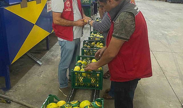 Ortaca'da nar ve limon ihracatında rekor beklentisi